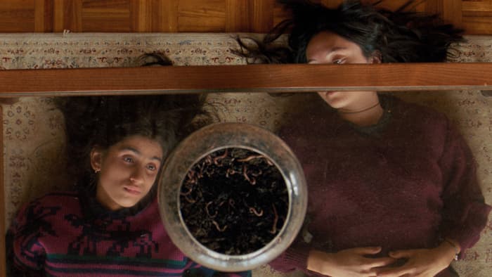 GIFF | PROJECTION | SEPTEMBER SAYS