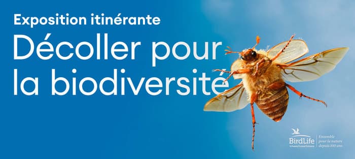 Les 100 ans de BirdLife au Muséum