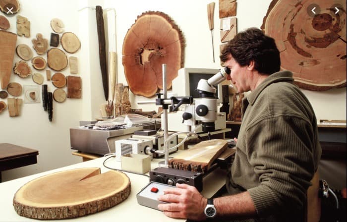 Laboratoire de dendrochronologie