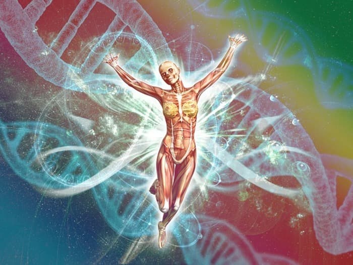 Conférences de biologie humaine | La Génétique