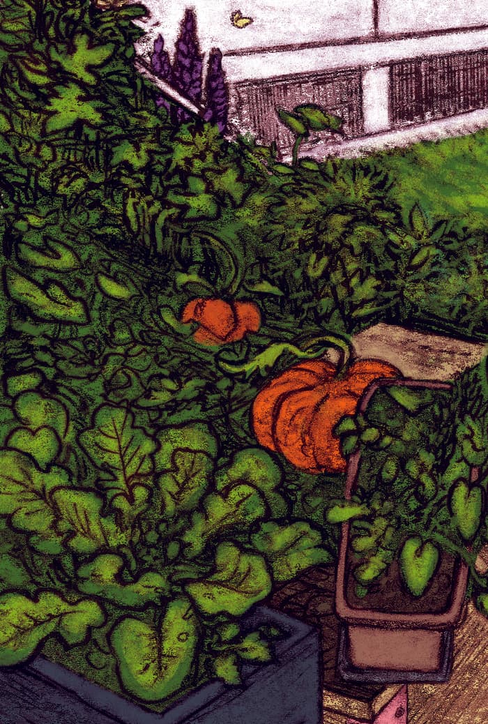 Récits potagers