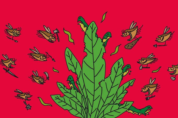 Génial végétal : les talents cachés des plantes