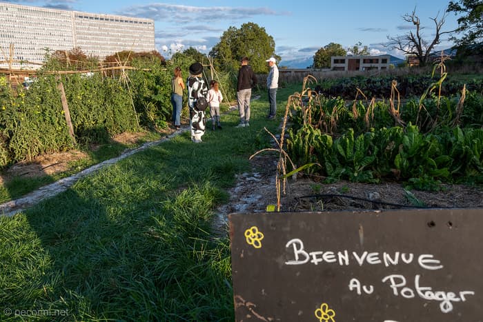 Potager des Nations - Dernier chantier jardinage 2023 !