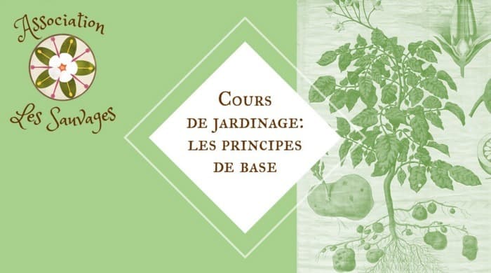 Cours de jardinage: les principes de base