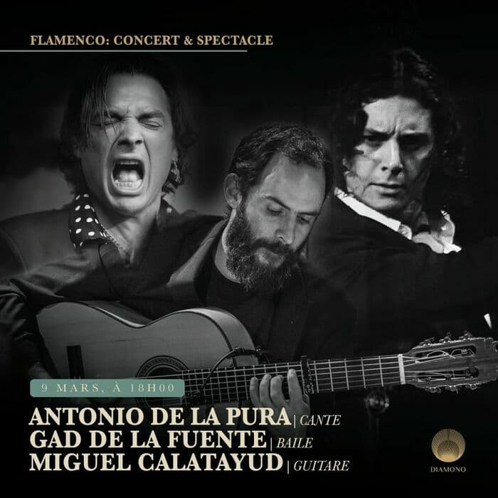Plongez dans la magie du Flamenco: Dimanche 9 mars à 18h00 – Concert-Spectacle