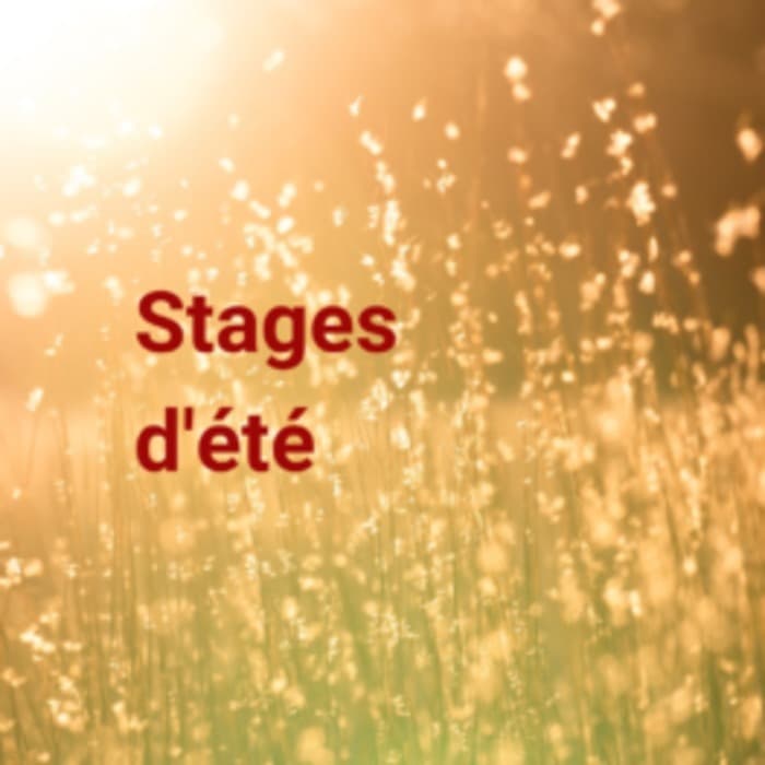 Stages d'été - chant et théâtre