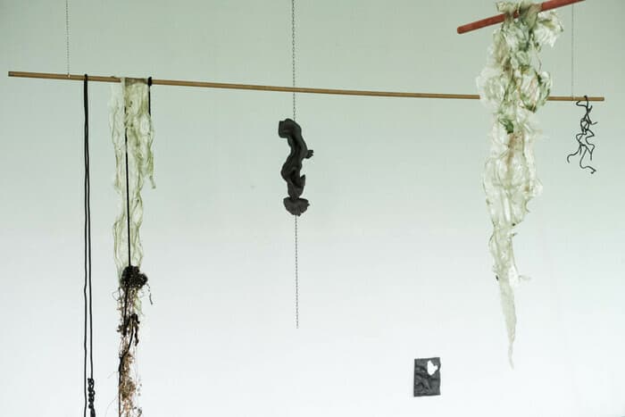 Valentin Merle, Viola Poli - Coexistences liquides, in divenire