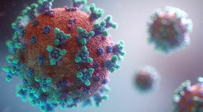 Conférence: Les maladies virales