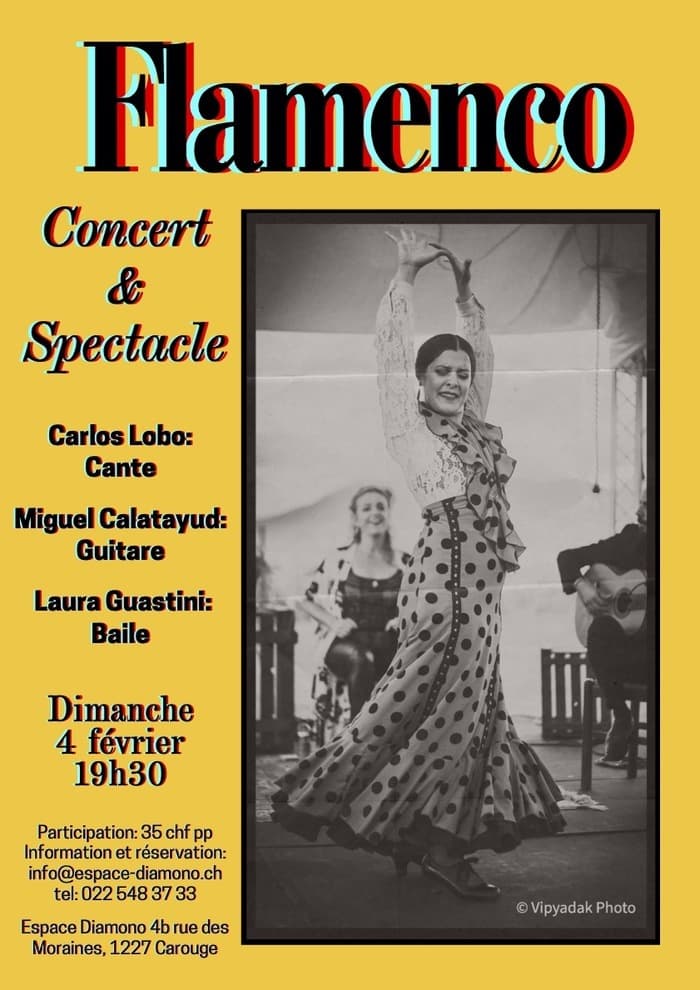 Concert & spectacle: Flamenco