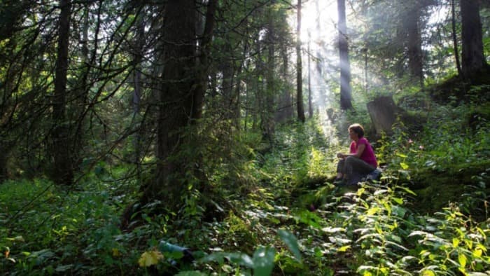 Bains de forêt par Carine Roth