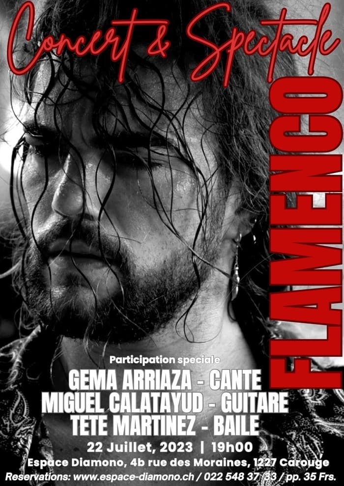 Flamenco concert & spectacle