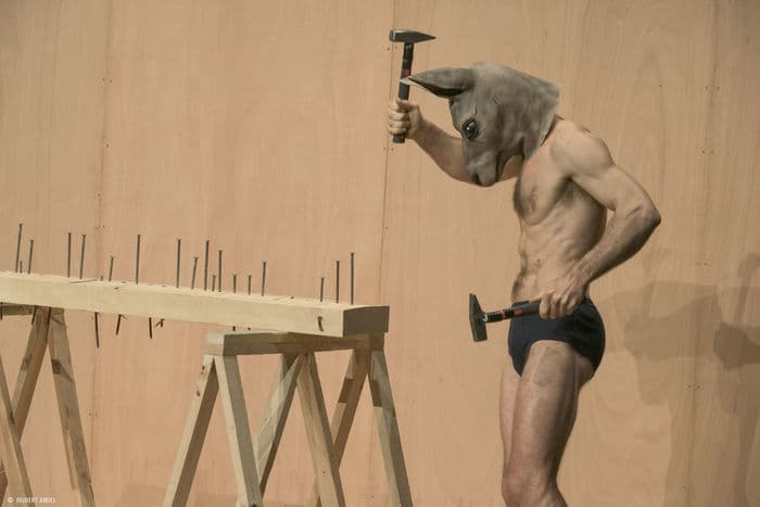 FESTIVAL ANTIGEL : Claudio Stellato - Work