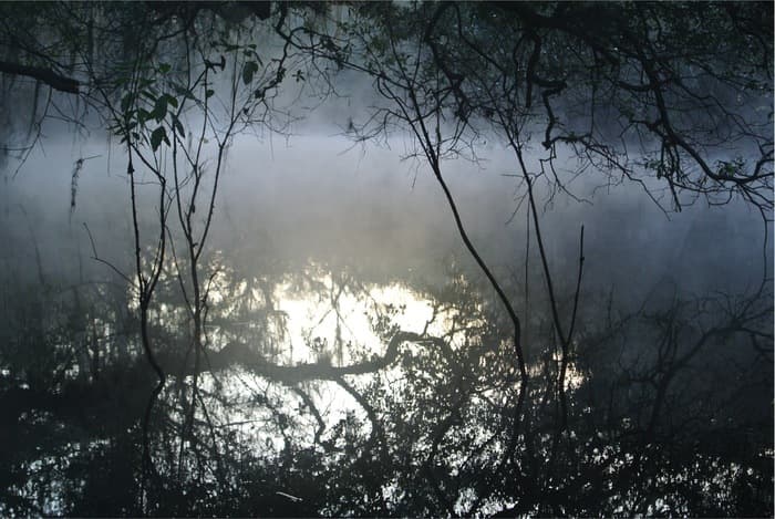Les eaux du Léman parlent