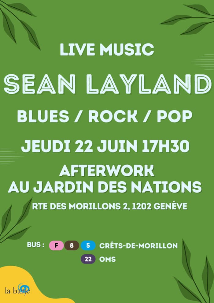 AFTERWORK & LIVE MUSIC SEAN LAYLAND // BLUES / ROCK / POP