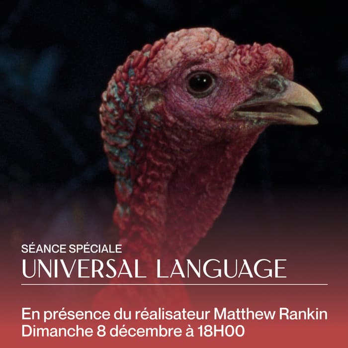 UNIVERSAL LANGUAGE (2024) avec la présence du réalisateur Matthew Rankin