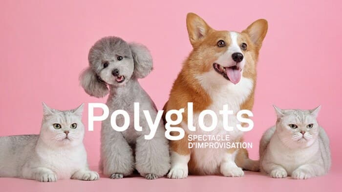 Polyglots: Multi-lingual improv comedy show