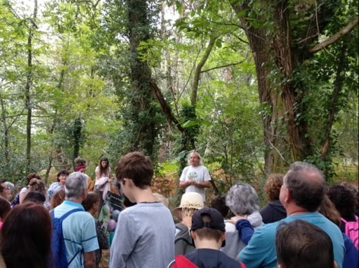 Enregistrements des vibrations des arbres de Genève par Jean Thoby