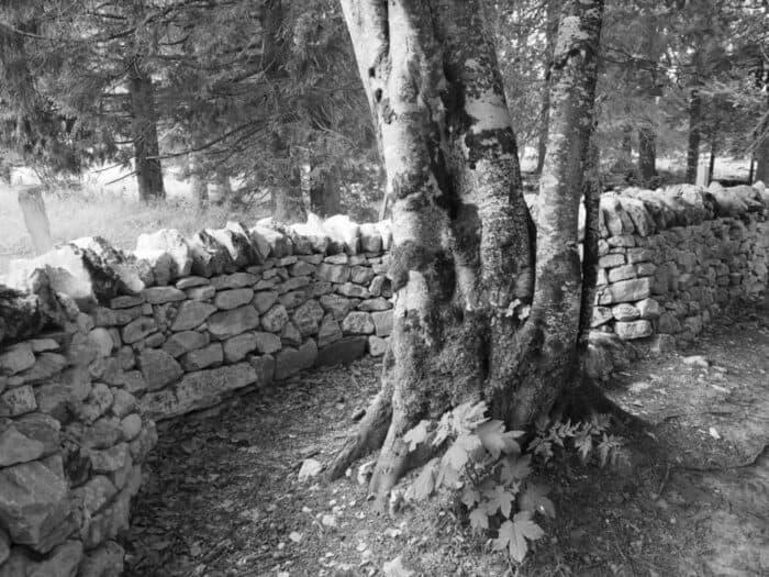 LES MURS DE PIERRES SÈCHES DANS LE PAYSAGE JURASSIEN, PAR CHRISTIANE YVELIN