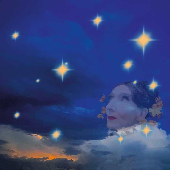 Le T-Dansant s'illumine en ciels nocturnes