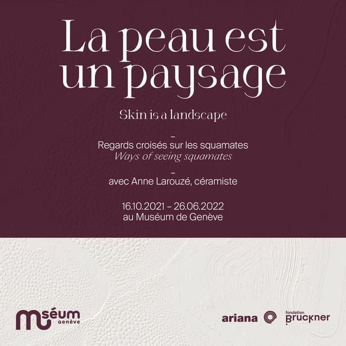La peau est un paysage