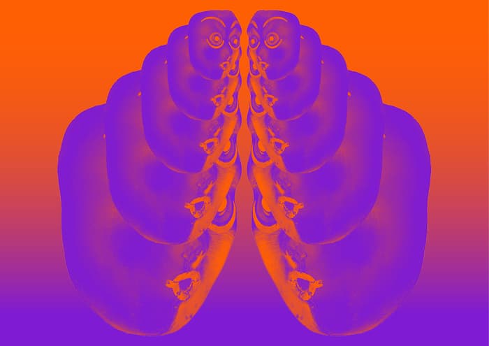 De l'hypnose au vertige