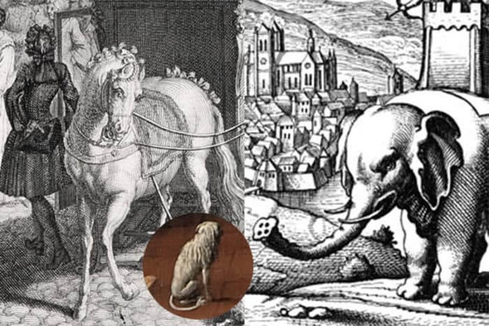LES ANIMAUX CHEZ CALVIN - Visite guidée offerte