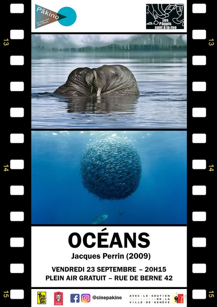 Projection en plein air "Océans"