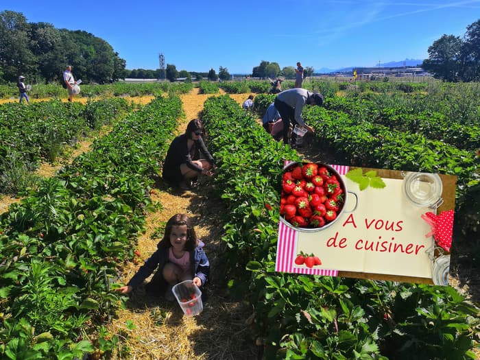 Atelier cuisine à la Fraisière – Cueillez et cuisinez vos fraises