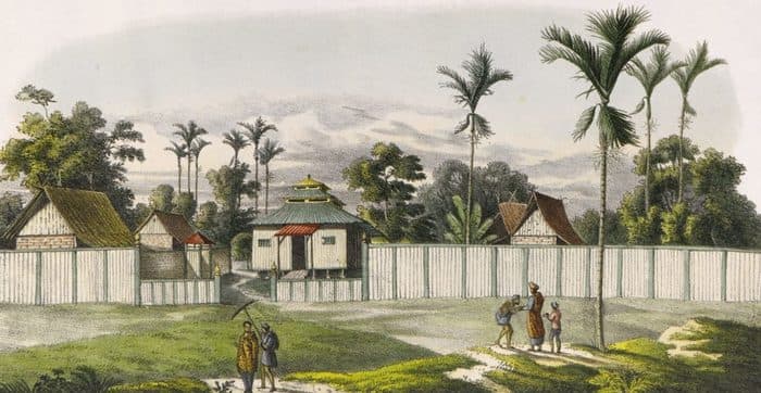 Carl von Martius à la découverte de la biodiversité tropicale