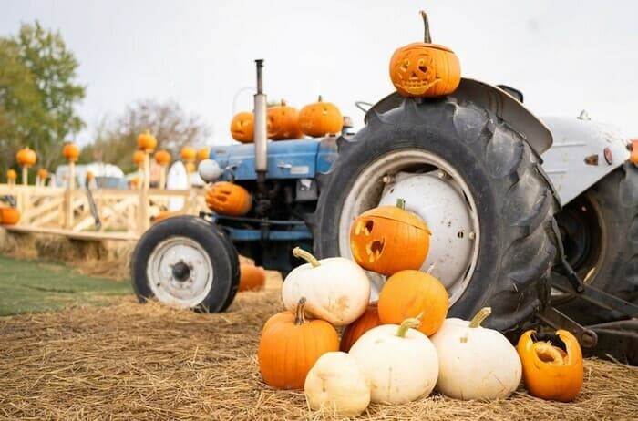 HALLOMANIA - Chasse aux bonbons en tracteur pour les jardiniers sorciers et dégustation de vin