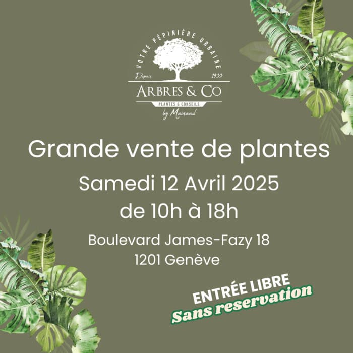 Grande vente de plante