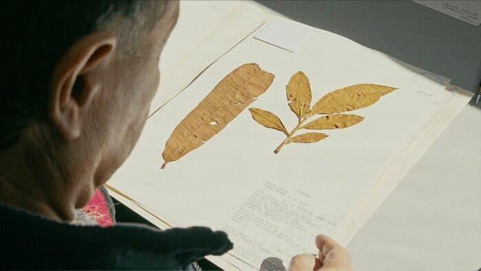 Projections FILMAR - Toroboro: el nombre de las plantas, en partenariat avec la Semaine du climat de la Ville de Genève.