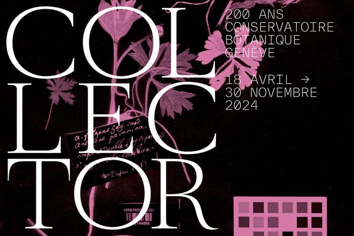 COLLECTOR