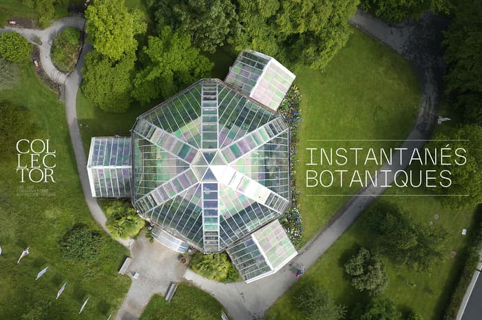 Instantanés botaniques