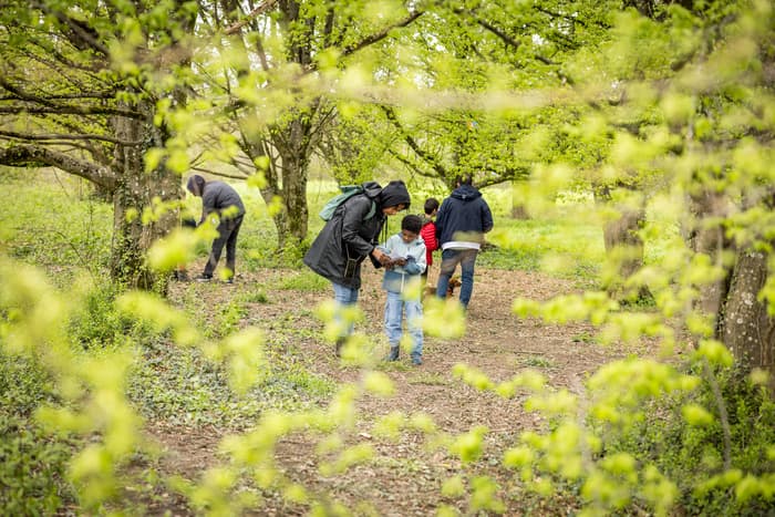 Chasse aux oeufs au Parc des Evaux - Paka'lapin et le trésor chocolaté