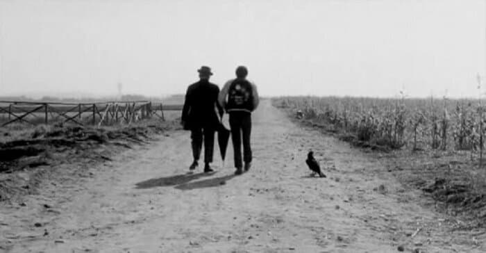 Séance de cinéma : Des oiseaux petits et gros (Italie, 1966, 89’)