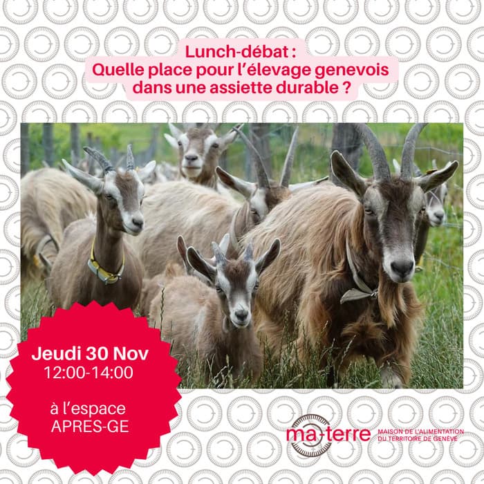 Lunch-Débat : Quelle place pour l’élevage genevois dans une assiette durable ?
