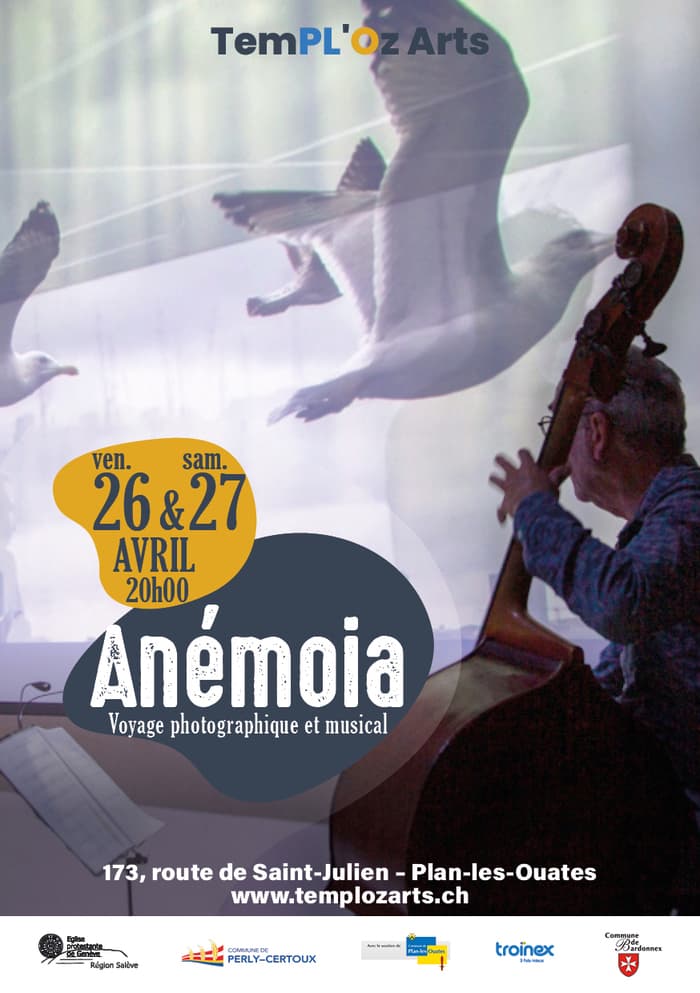 Théâtre : Anémoia Un voyage photographique et musical