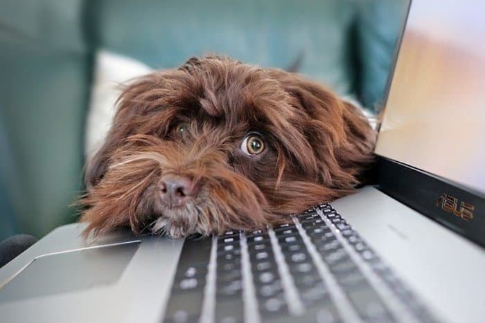Cours pour seniors | Découverte de l'informatique