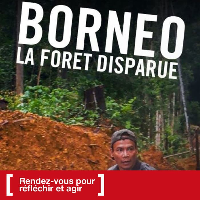 Ciné-dimanche X Festival du Film Vert Genève : Bornéo - La forêt disparue