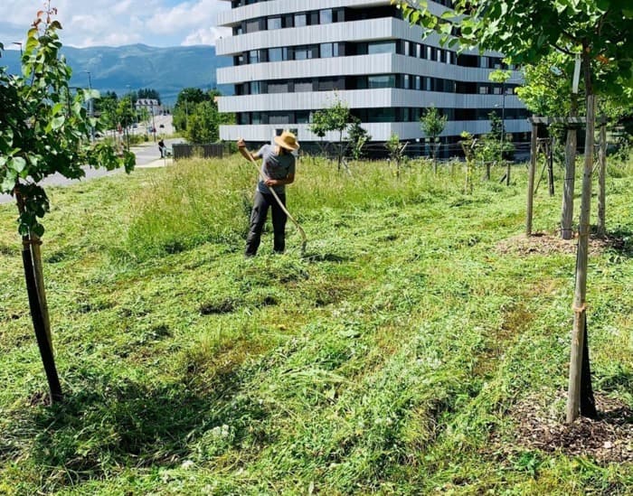 De la ferme urbaine au buffet gourmand à la Ferme des Vergers