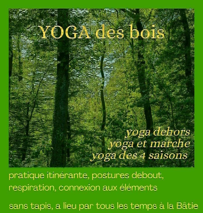 Yoga des bois