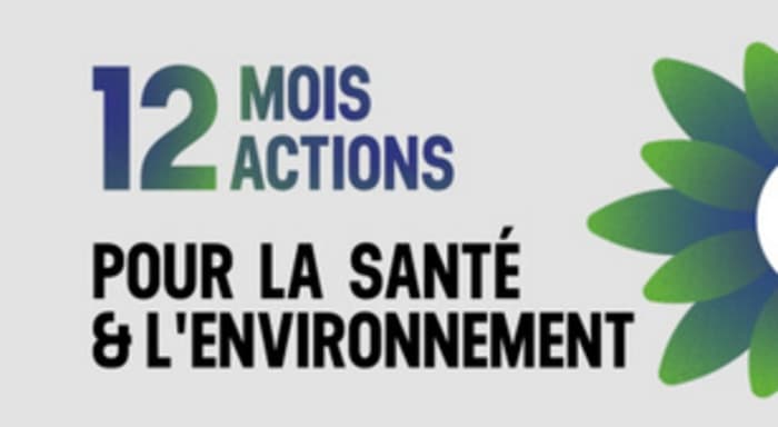 «12 mois 12 actions». Atelier participatif co-organisé par la HEdS, les HUG et l'UNIGE.