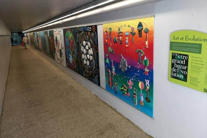 Art et évolution