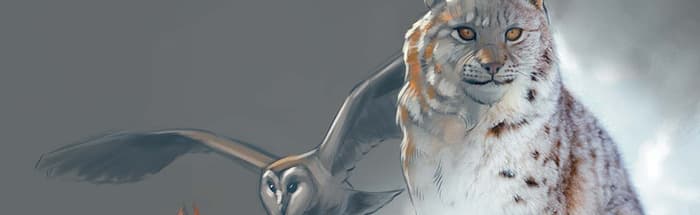 Atelier de dessin "Les animaux de l'hiver"