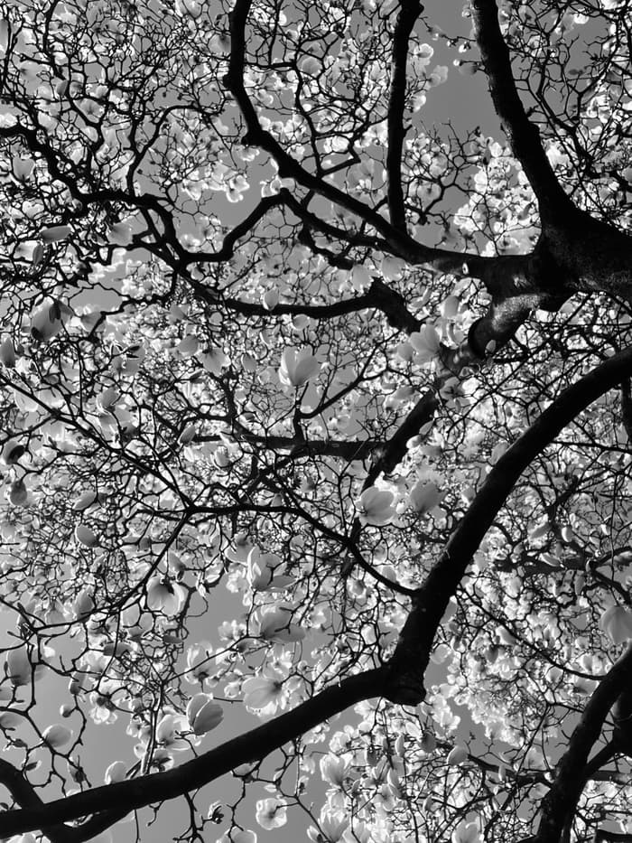 Équinoxe d’automne en musique : création sonore par Amandine Casadamont et Madeleine Leclair