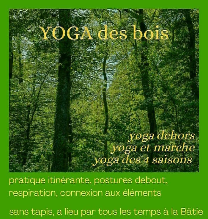 Yoga des bois