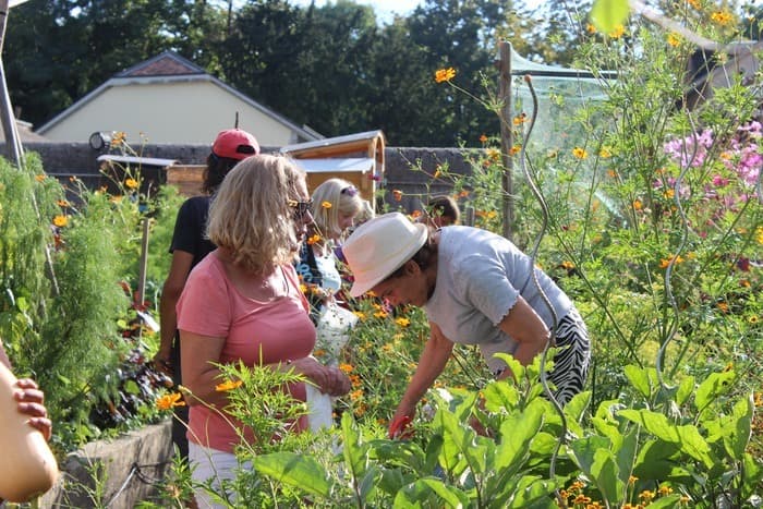 Rencontre au potager : "Le jardin comme écosystème"
