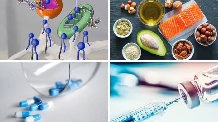 Cours public: Les graisses (lipides): de la nutrition aux nouveaux vaccins ARNm