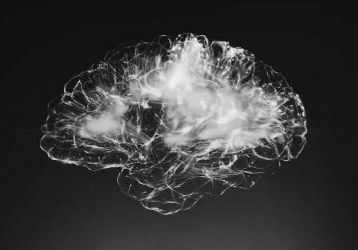 Conférence: La maladie d’Alzheimer